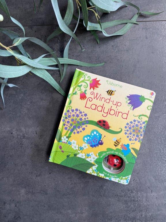 pago-books-wind_up_ladybird