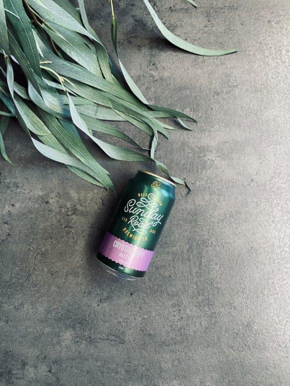 pago-sunday-road-brewing-co-beer_cryotherapy_hazy_ipa_375ml pago-sunday-road-brewing-co-beer_cryotherapy_hazy_ipa_375ml