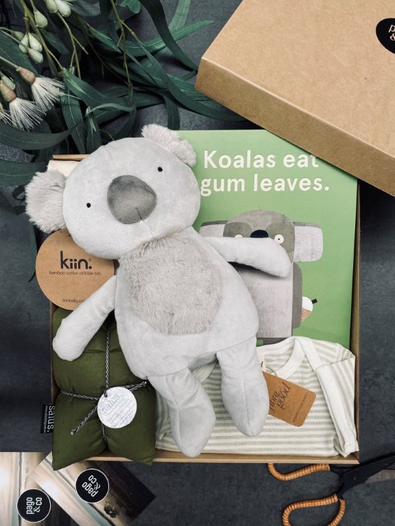 pago-koala-ty_time-gift_box pago-koala-ty_time-gift_box