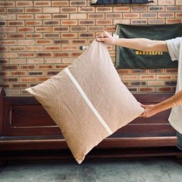 Pony Rider - Wanderful Cushion, Donkey/Oats (60x60)