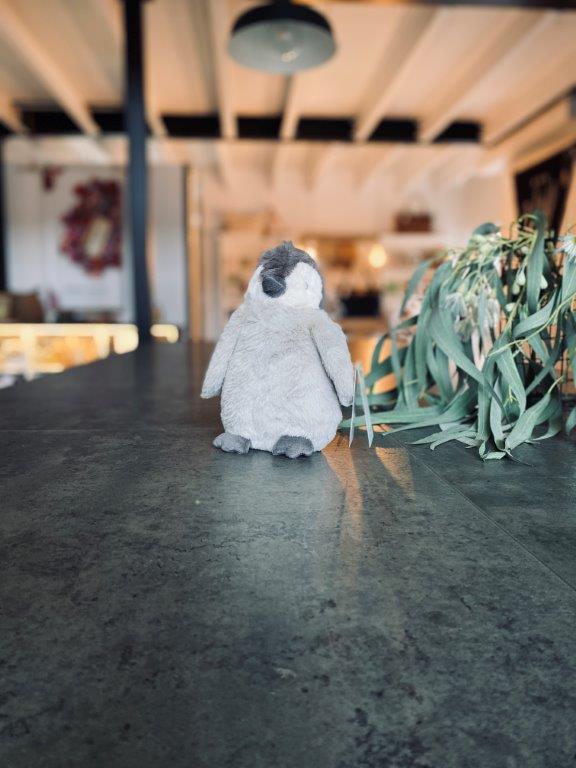 pago-nana-huchy-paulo-the-penguin pago-nana-huchy-paulo-the-penguin